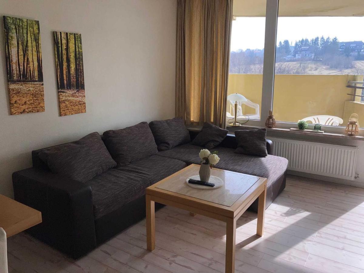 Apartment 457 Hohegeiß Εξωτερικό φωτογραφία